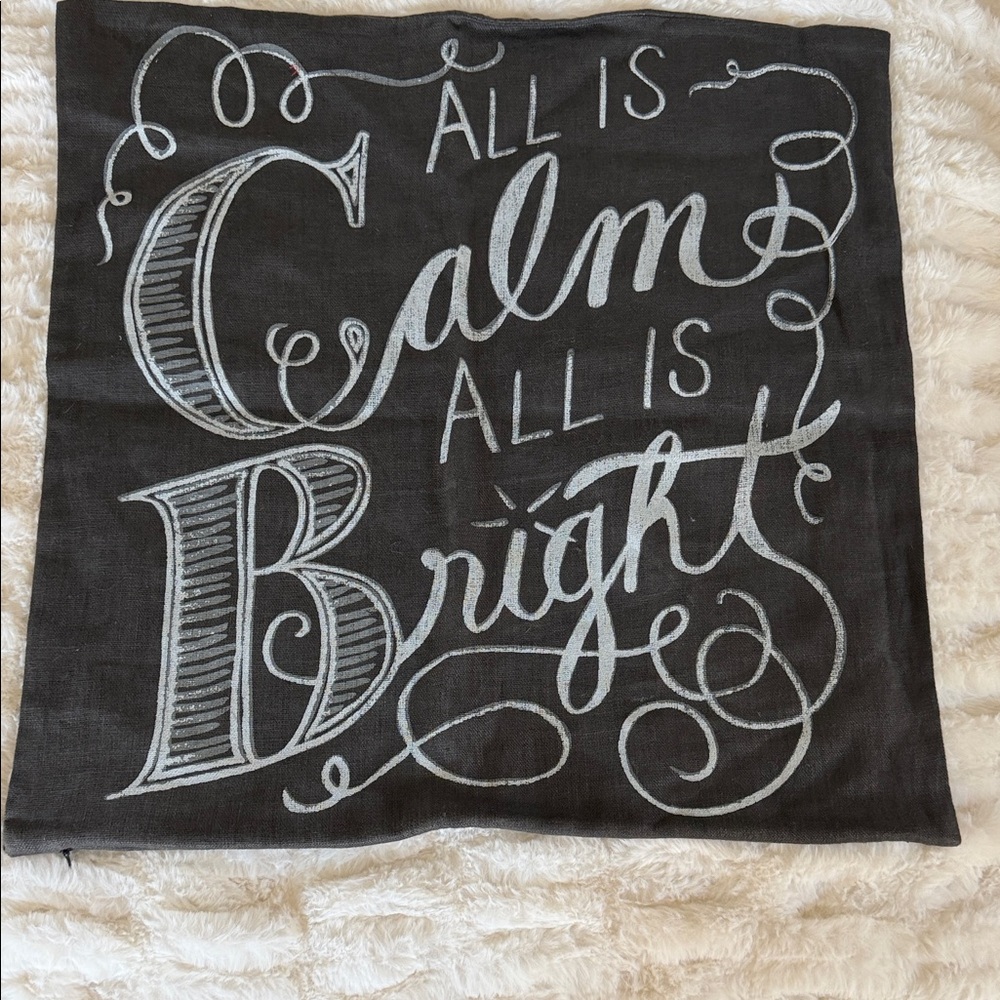 Pottery Barn Holiday Pillow cover